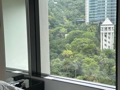 -尼依格罗香港美利酒店