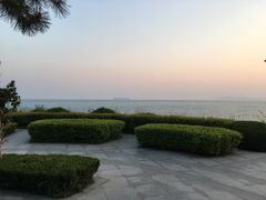 -青岛海景花园大酒店·白果树餐厅青岛菜