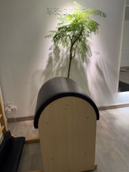 -闺蜜瑜伽·普拉提女性塑形馆