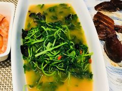 -逸林轩中餐厅(中信泰富朱家角锦江酒店)