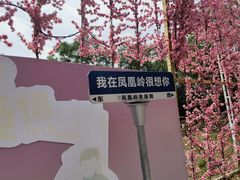 -北京凤凰岭