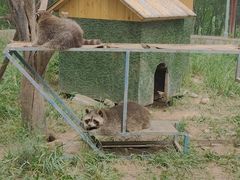 -青藏高原野生动物园