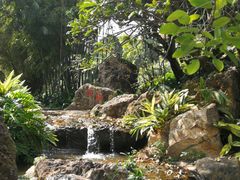 -晓港公园