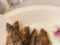 -新雅粤菜馆(南京东路店)