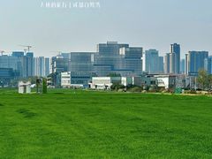 -白鹭湾湿地公园