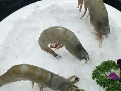 -红菇坊鲜汤火锅(沈辽路店)