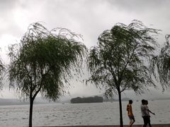 -浙江西湖美术馆