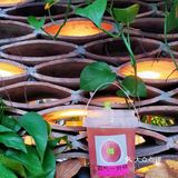 奈雪一升桃🔥喝了就别想“桃”🍑 