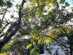 -南山植物园
