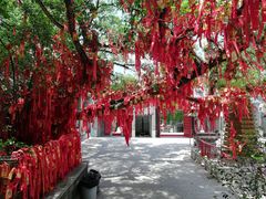 -国恩寺