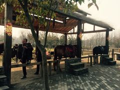 -溱湖国家湿地公园