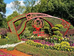 -上海共青森林公园