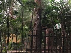 -龙达温泉生态城