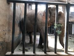 -石家庄市动物园