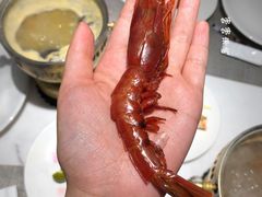 -海玥荟海鲜姿造自助餐厅(欧罗巴广场店)