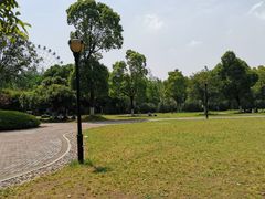 -洋湖国家湿地公园