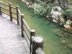 -广州市石门国家森林公园