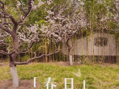 -宣武艺园