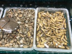 -渔码头食府(蓬莱阁店)