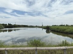 -宁波杭州湾国家湿地公园