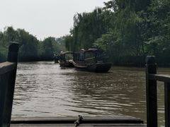 -溱湖国家湿地公园