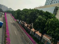 -星美国际影商城(顺联广场店)