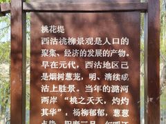 -桃花堤公园