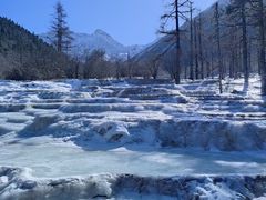 -黄龙山原始森林景区