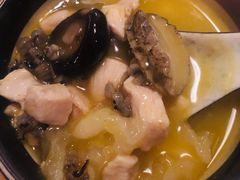 红颜花胶鸡锅-湊湊火锅·茶憩(石家庄万象城店)