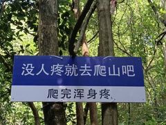 -佛慧山