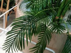 -卡朋西餐(悦汇城店)