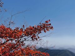 -径山寺