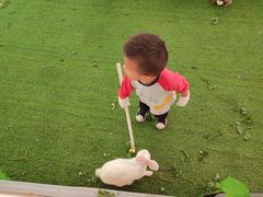 -麻涌飞鸭开心农场