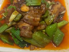 -金熊猫川菜餐厅