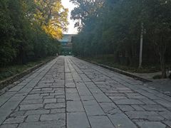 -灵谷景区