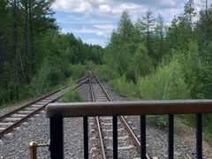 -莫尔道嘎国家森林公园