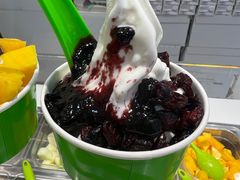 -Salud撒露欧洲冻酸奶(蓝色港湾店)