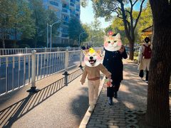 -上海财经大学(国定路校区)