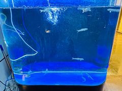 -神憩宾馆-餐厅