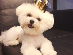 -百好乐宠物友好餐厅(朝外大街店)