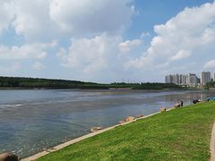 -丁香湖公园