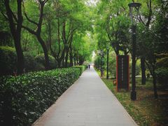 -唐城墙遗址公园