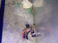 -江合勇丹东兄弟小串海鲜烧烤(总店)