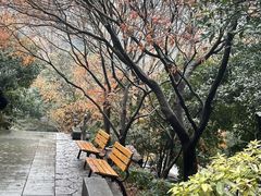 -杭州上天竺法喜讲寺