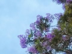 -首开·龙湖成都西宸天街