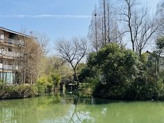 -西溪国家湿地公园