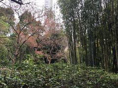 -九龙公园
