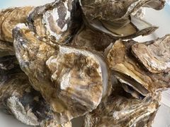 -宾朋海鲜特色美食餐厅·纯手工鲅鱼水饺(兴海路店)