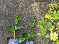 -苏州河梦清园环保主题公园