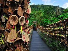 -西涌国际滨海旅游区